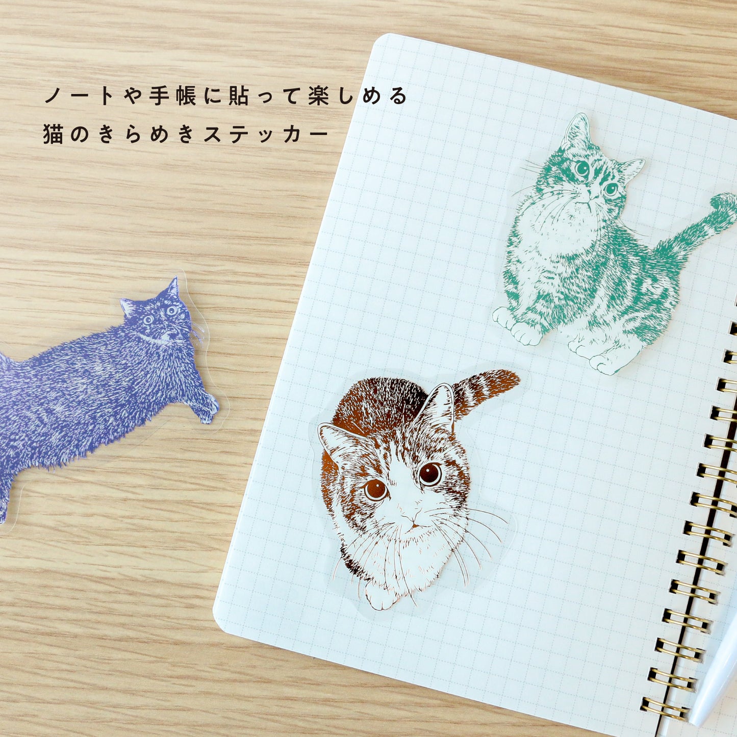 Cat Art Collection Clear Die-Cut Sticker "Hinata"