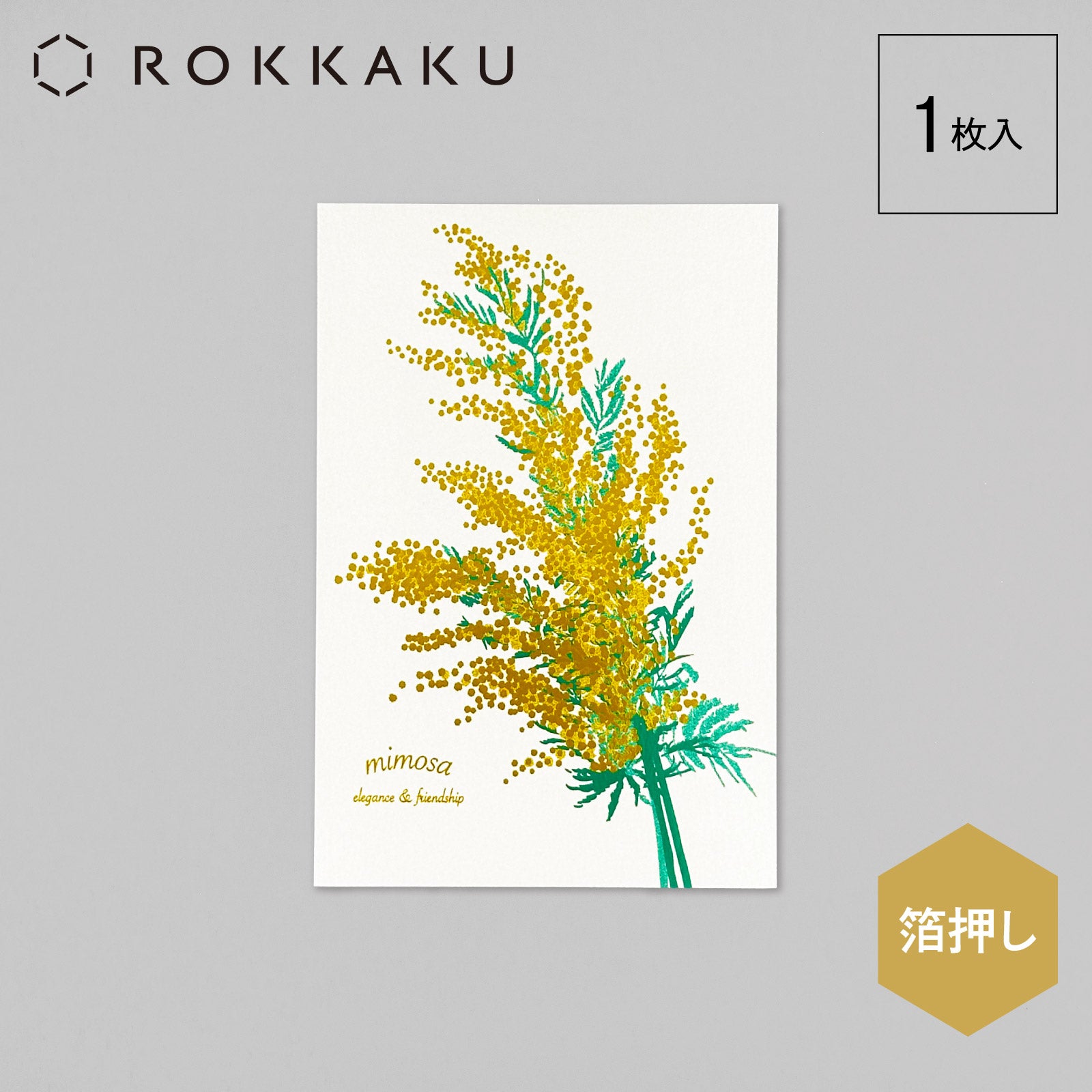 Hakuoshi Botanical ポストカード 「ミモザ」 – ROKKAKU