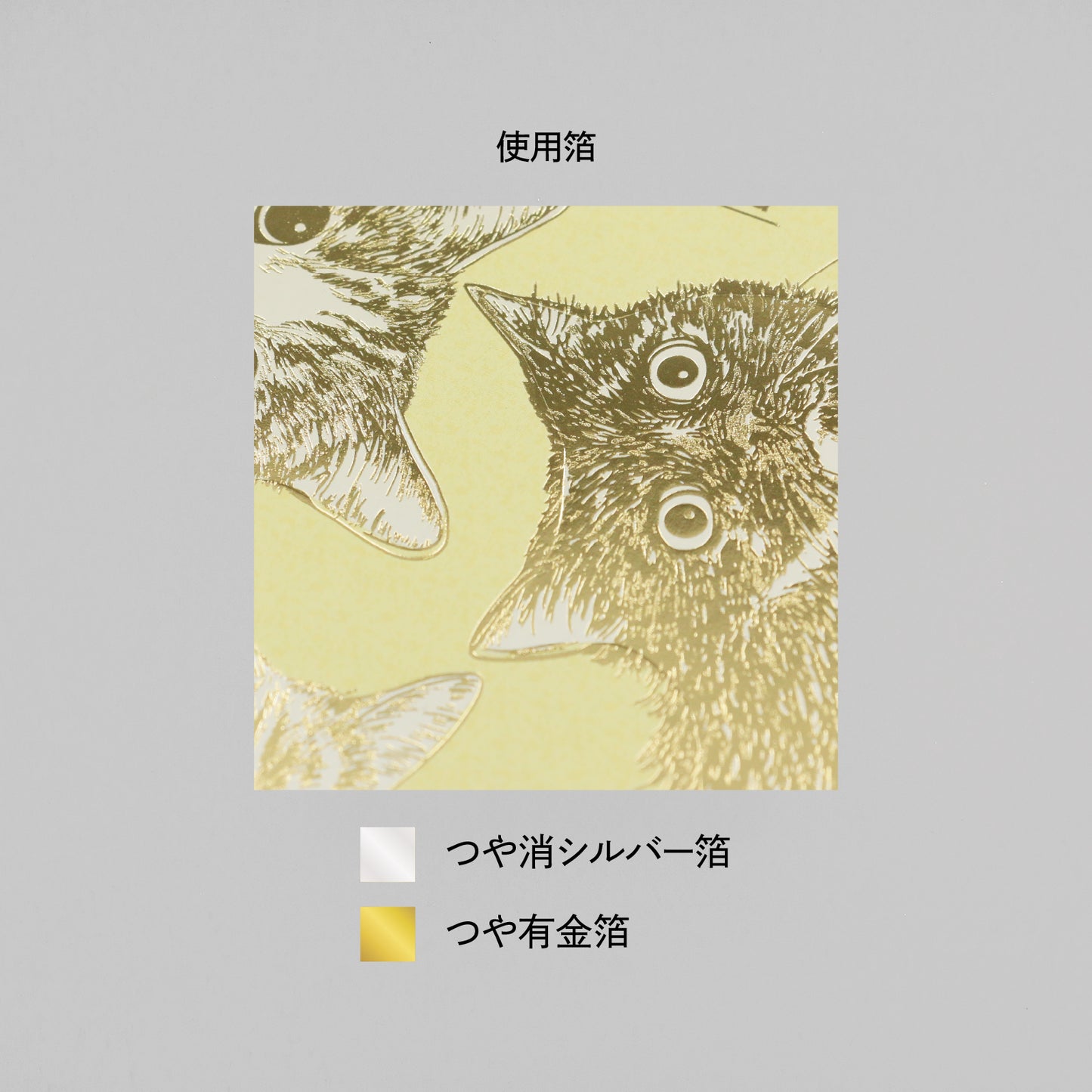 Cat Art Collection B6線圈筆記本「Shizuwara Hinata 寫實風格」