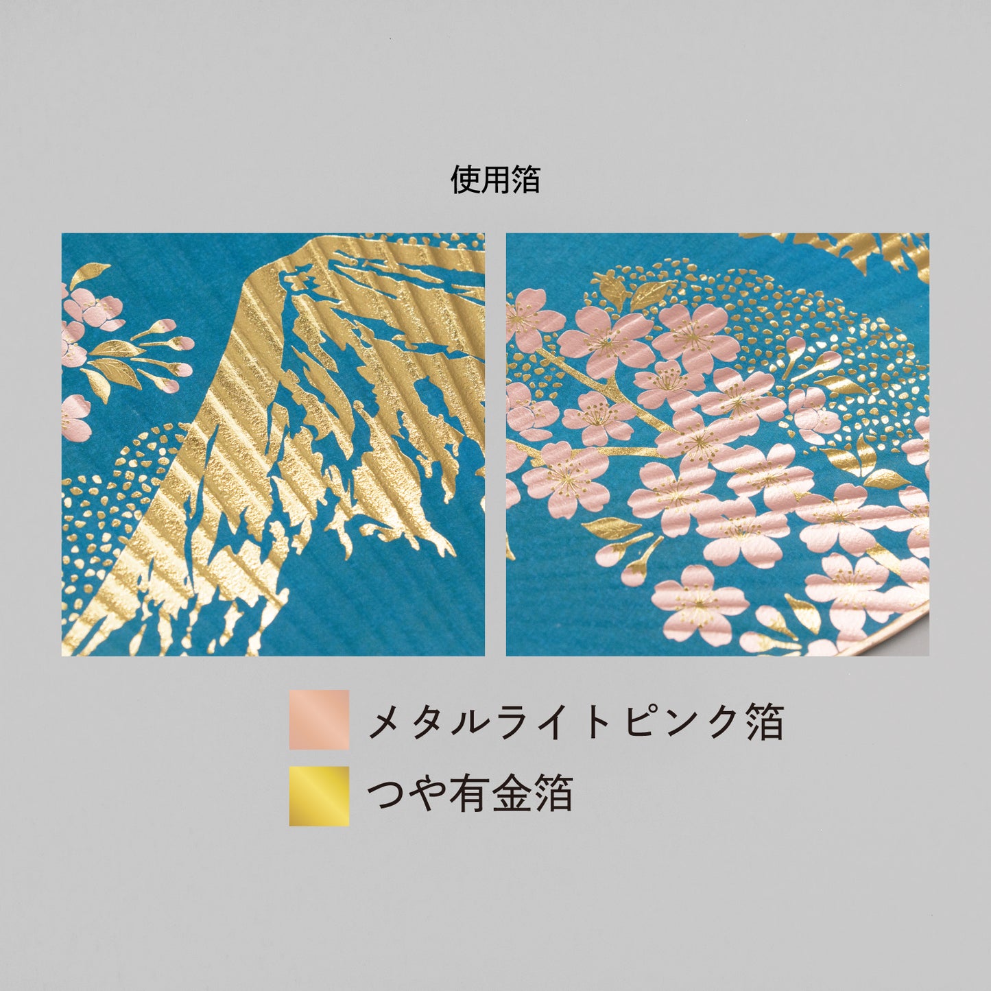 都うちわ 「富士と桜」