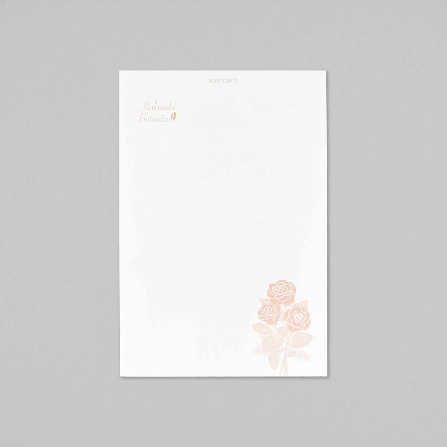 Hakuoshi Botanical ポストカード 「バラ」
