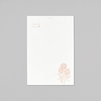 Hakuoshi Botanical ポストカード 「バラ」