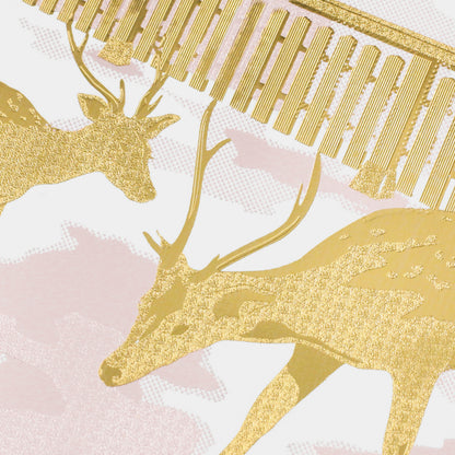Japan's Famous Places Series: Nara Park Postcard