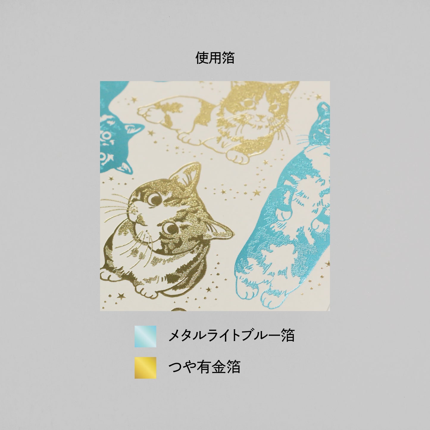 貓咪藝術收藏 B6線圈筆記本「SHIZUWARA HINATA 漫畫風」