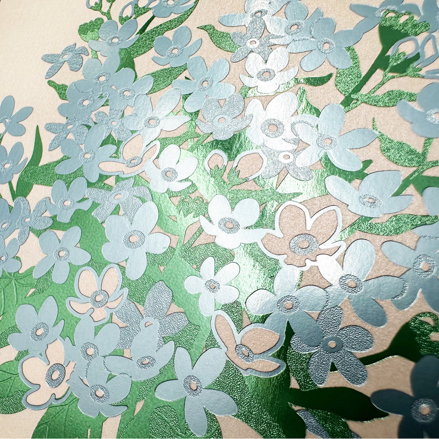 Hakuoshi Botanical ポストカード 「ブルースター」