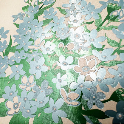 Hakuoshi Botanical ポストカード 「ブルースター」