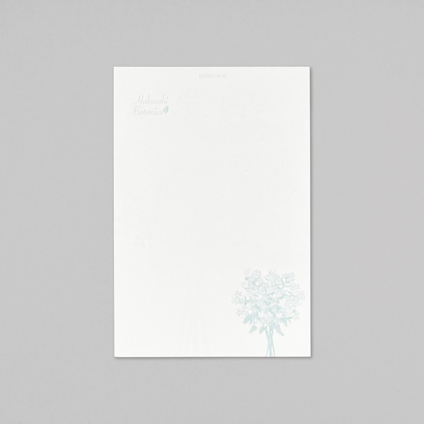 Hakuoshi Botanical ポストカード 「ブルースター」