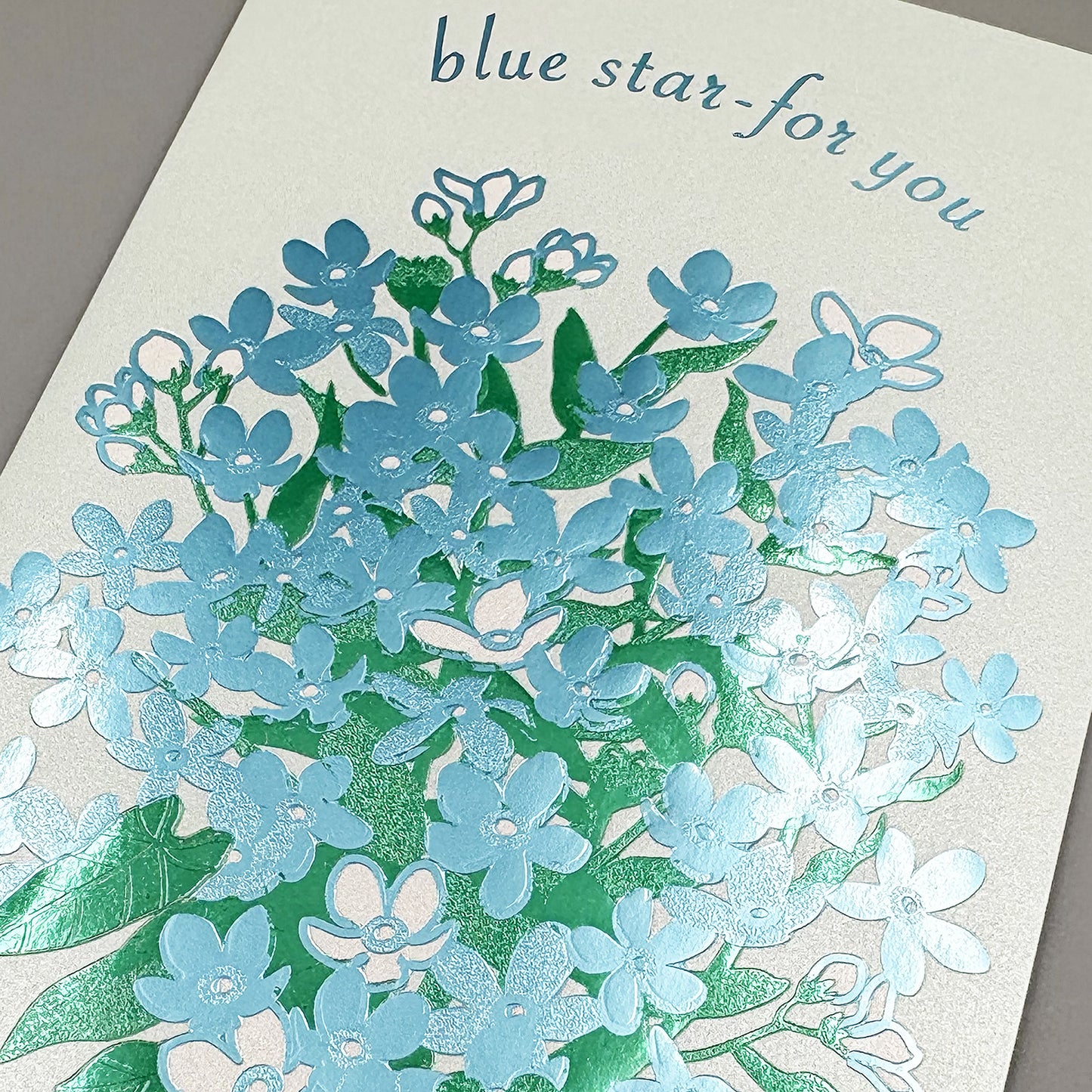 Hakuoshi Botanical レターセット 「ブルースター」