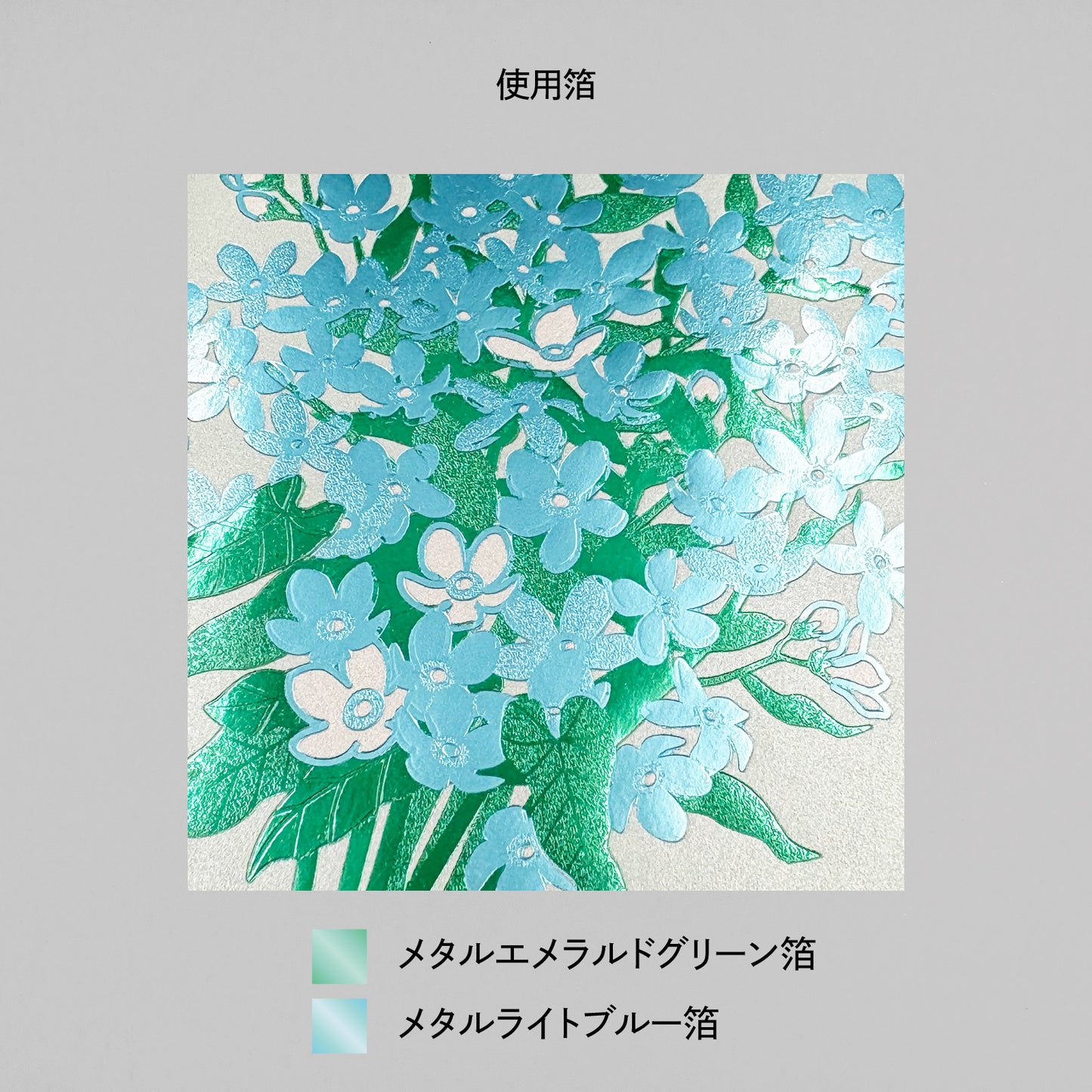 Hakuoshi Botanical レターセット 「ブルースター」