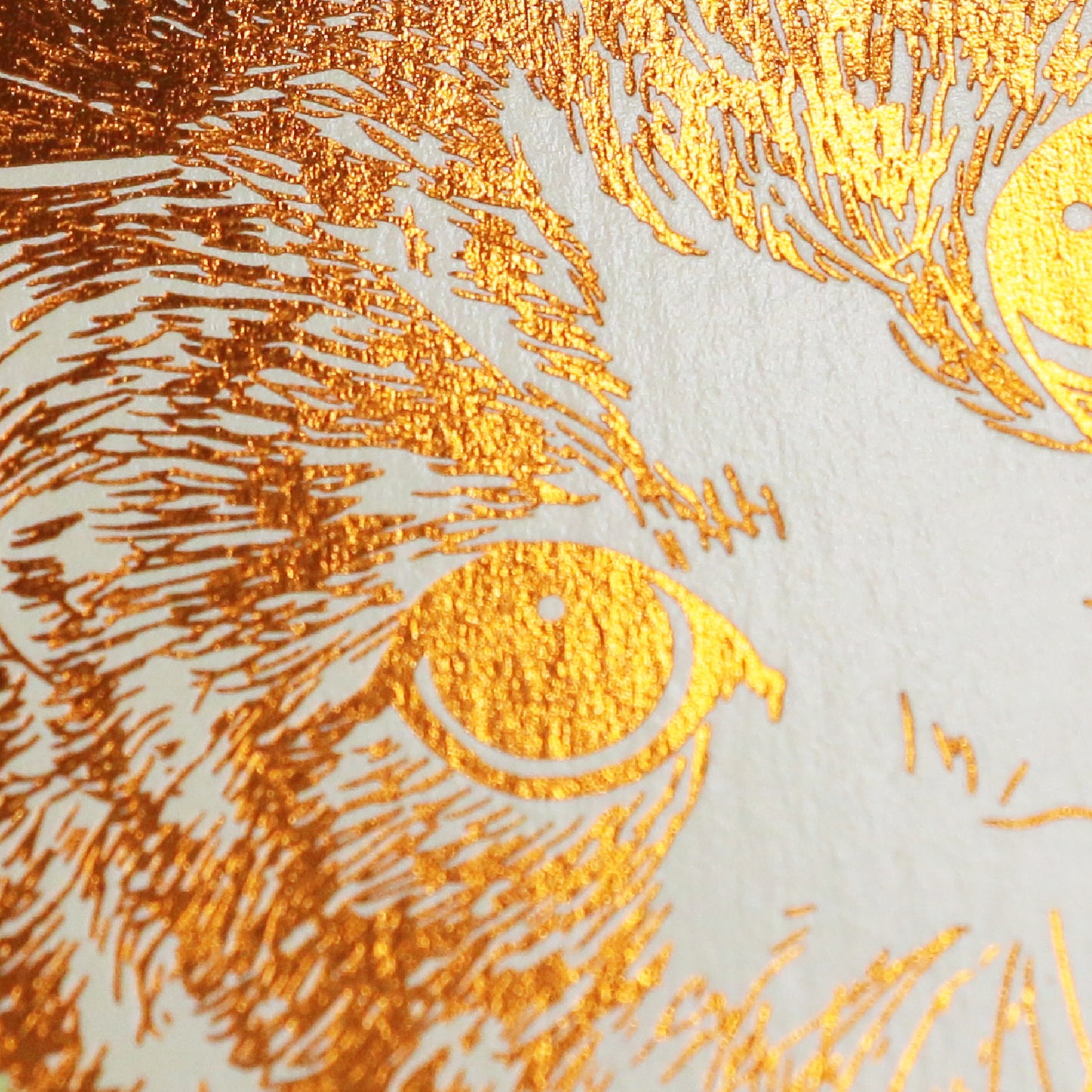 Cat Art Collection ポストカード「ひなた」