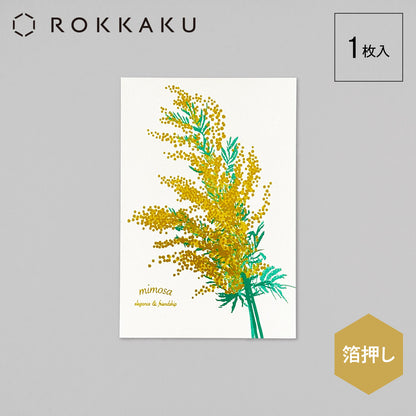Hakuoshi Botanical Postcard "Mimosa"