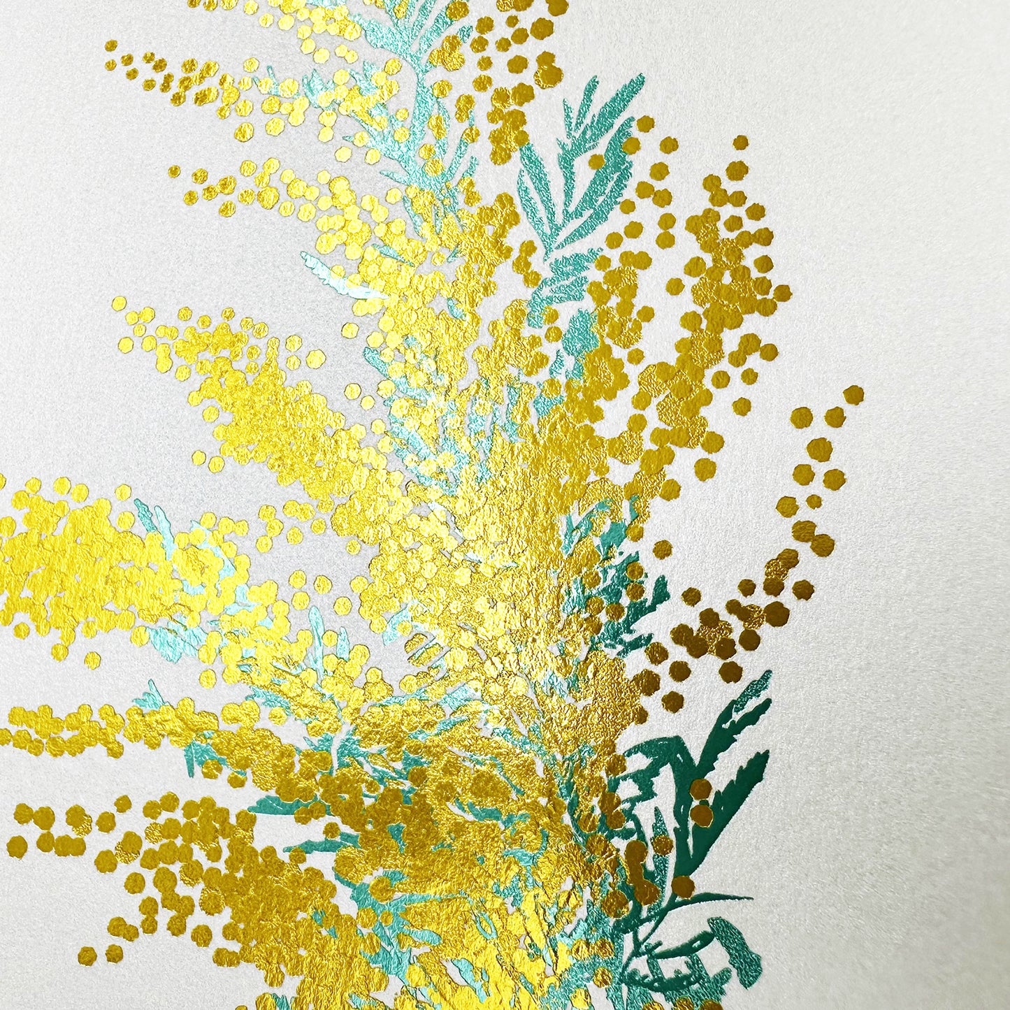 Hakuoshi Botanical Postcard "Mimosa"