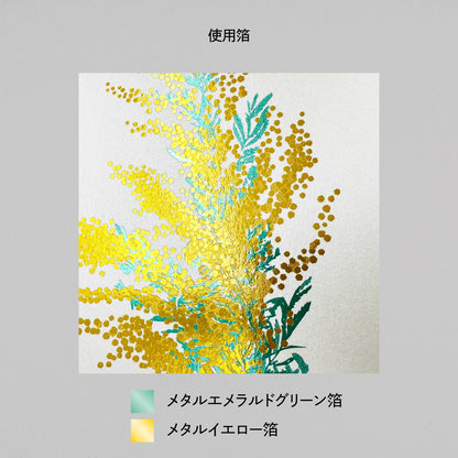 Hakuoshi Botanical Postcard "Mimosa"