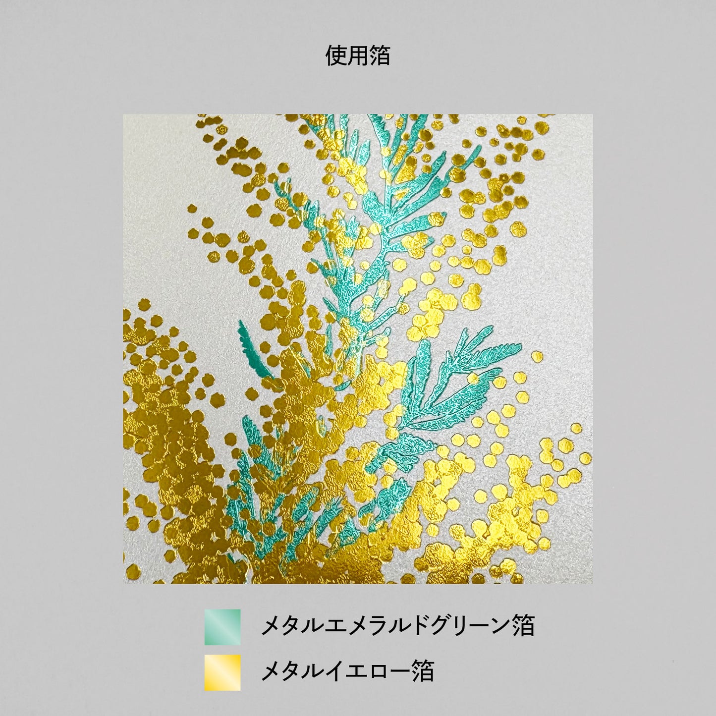 Hakuoshi Botanical レターセット 「ミモザ」