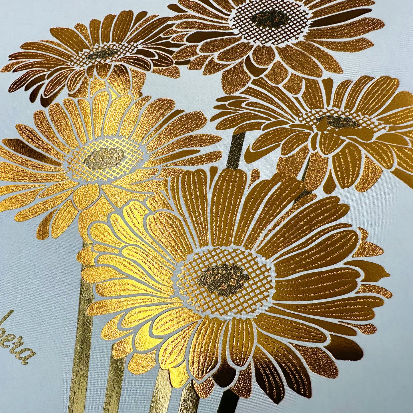 Hakuoshi Botanical B6リングノート 「ガーベラ」