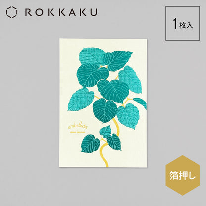 Hakuoshi Botanical ポストカード 「ウンベラータ」