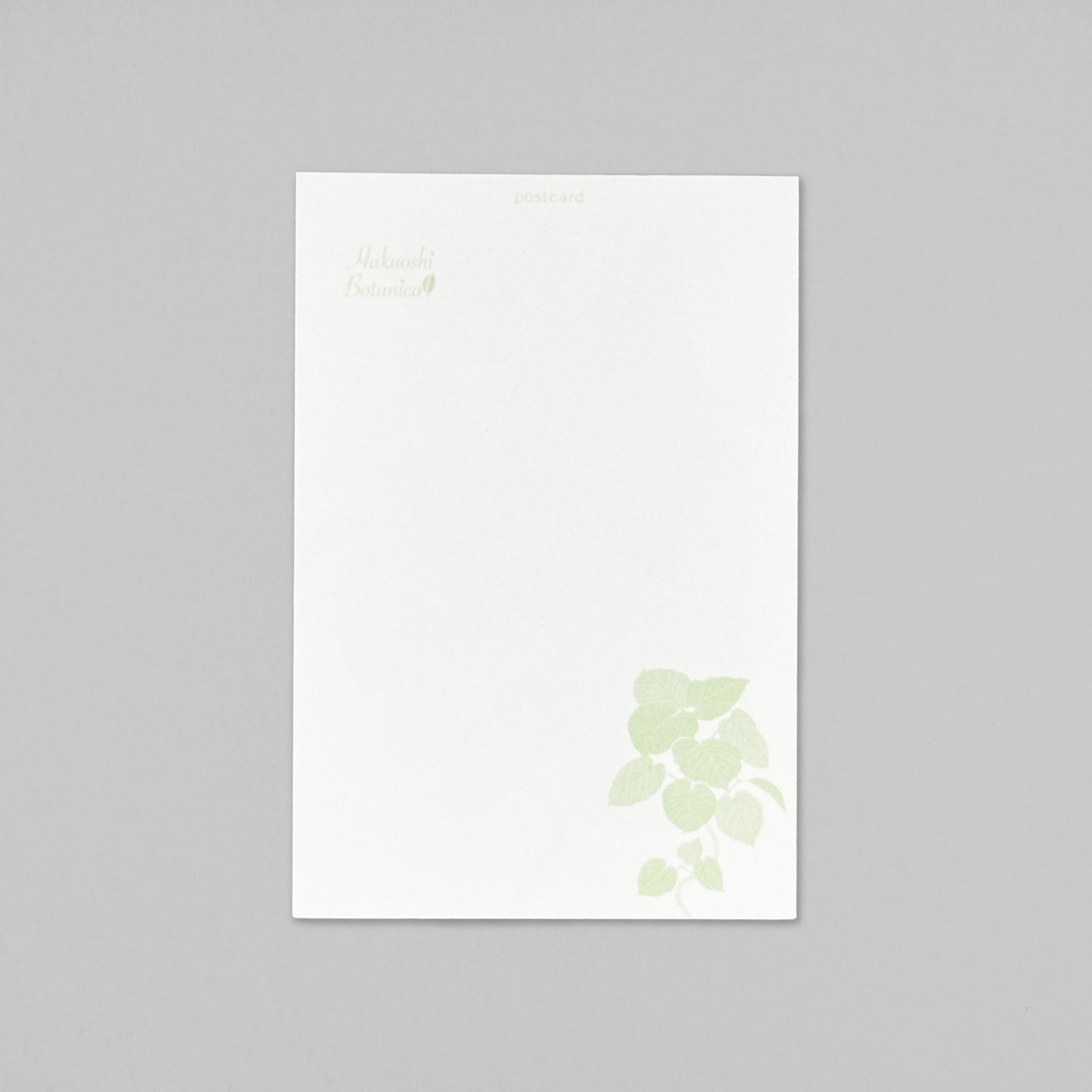 Hakuoshi Botanical ポストカード 「ウンベラータ」