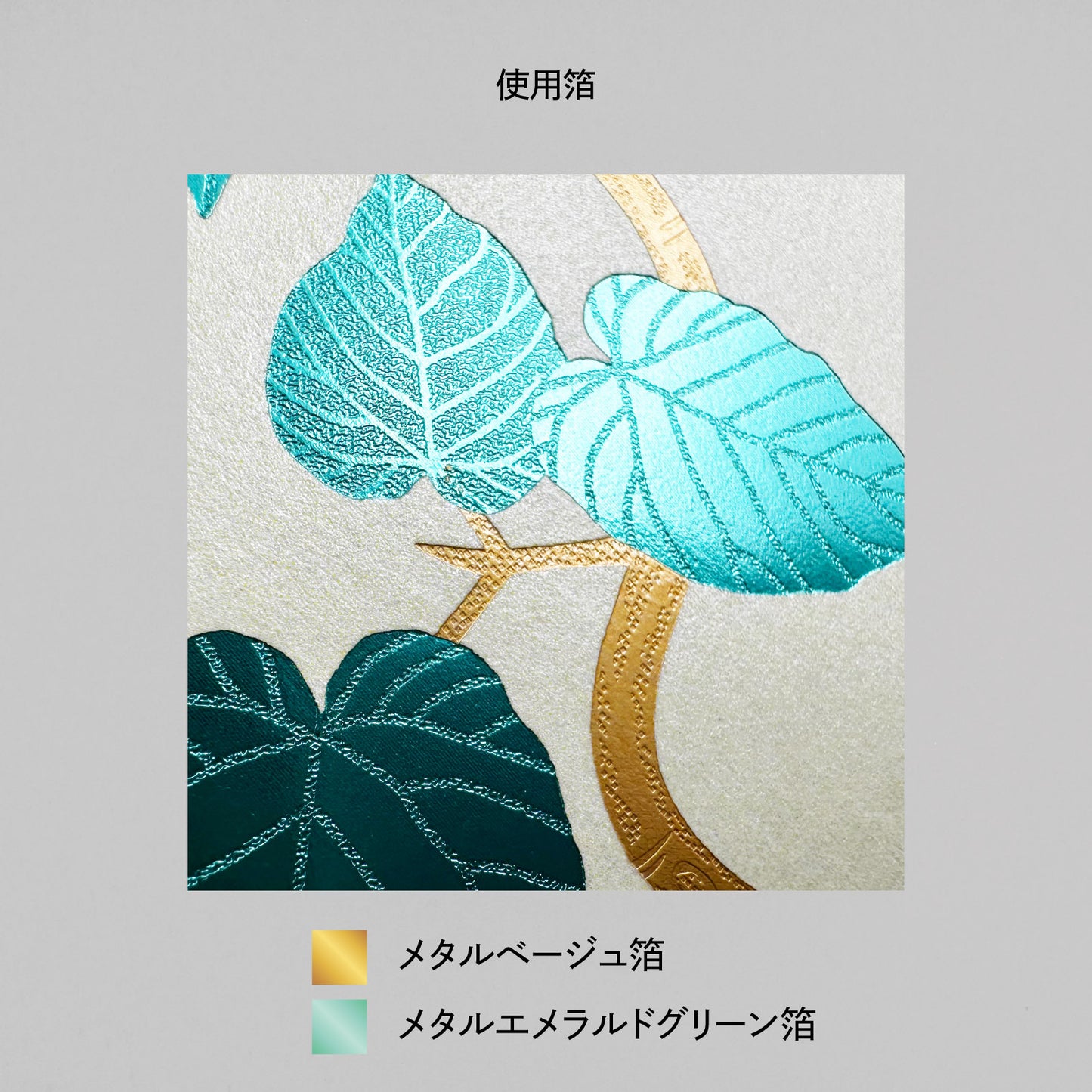 Hakuoshi Botanical ポストカード 「ウンベラータ」