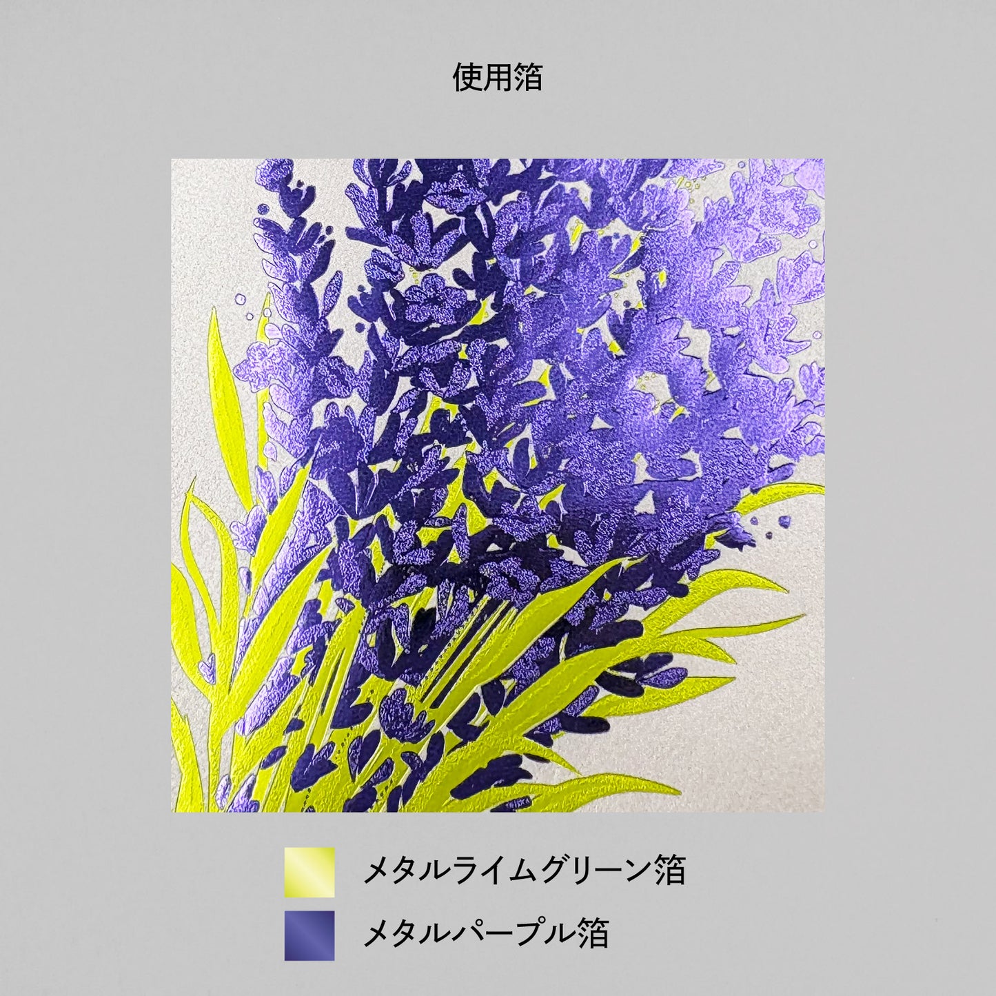 Hakuoshi Botanical レターセット 「ラベンダー」