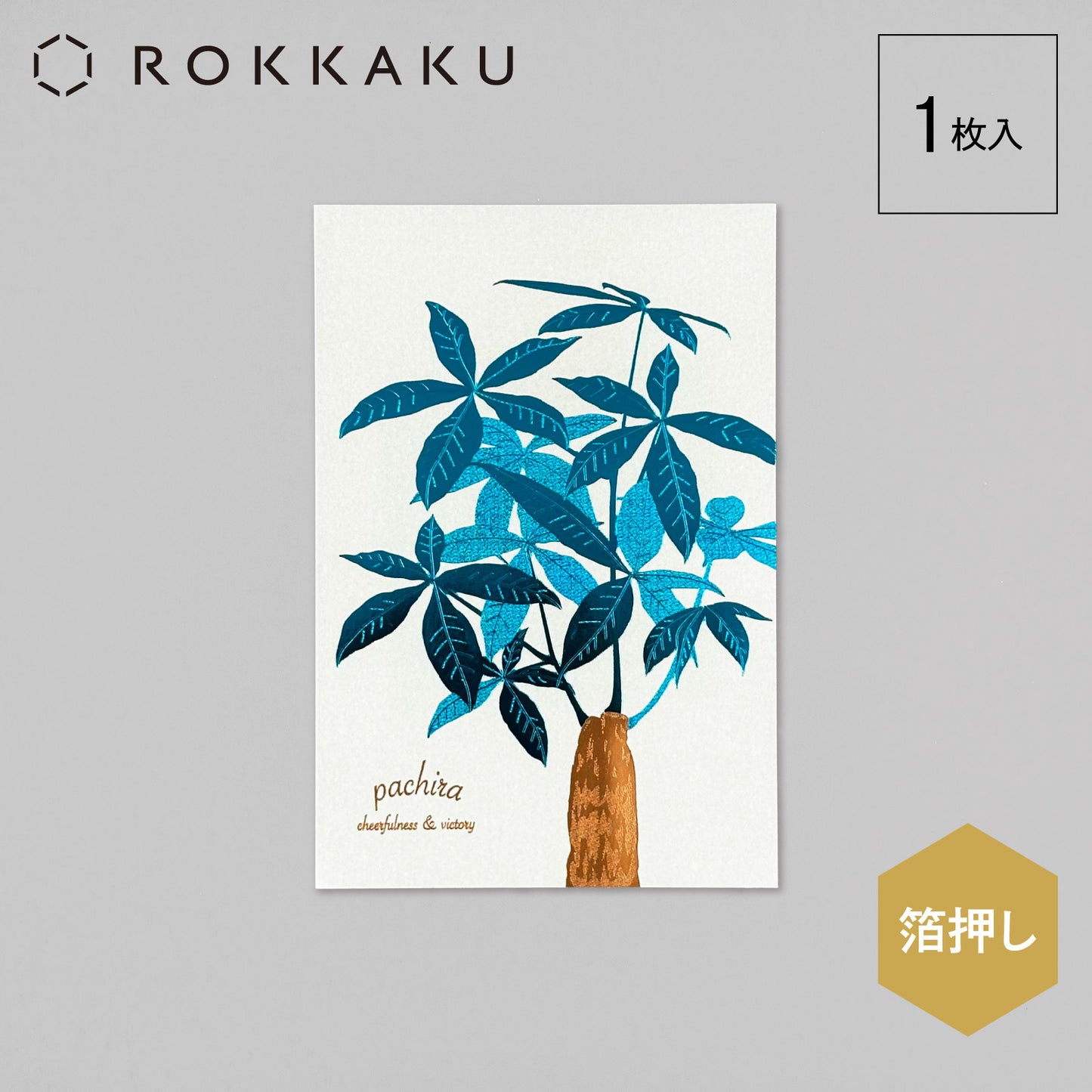 Hakuoshi Botanical ポストカード 「パキラ」