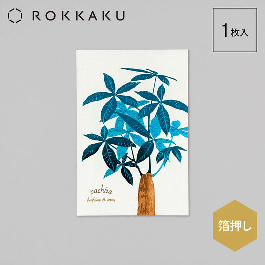 Hakuoshi Botanical ポストカード 「パキラ」