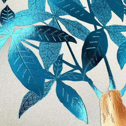 Hakuoshi Botanical ポストカード 「パキラ」