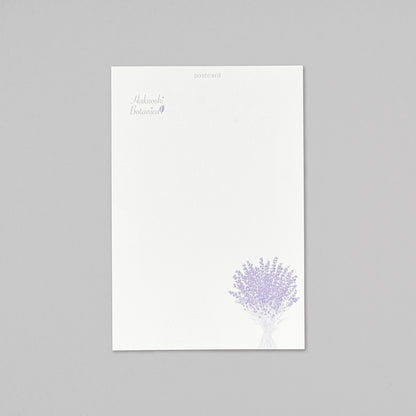 Hakuoshi Botanical ポストカード 「ラベンダー」