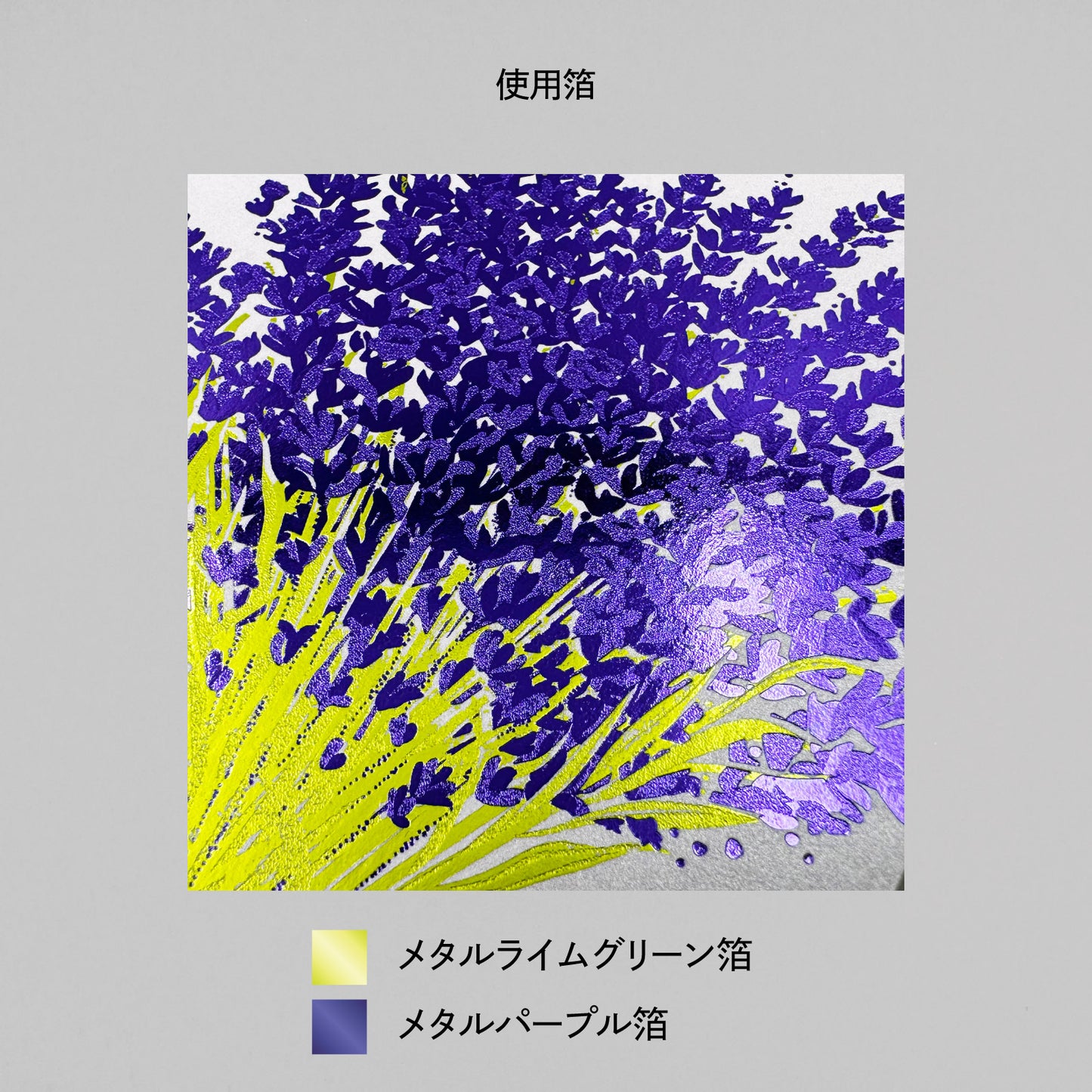 Hakuoshi Botanical ポストカード 「ラベンダー」