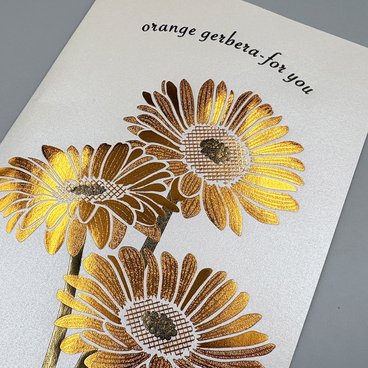 Hakuoshi Botanical レターセット 「ガーベラ」