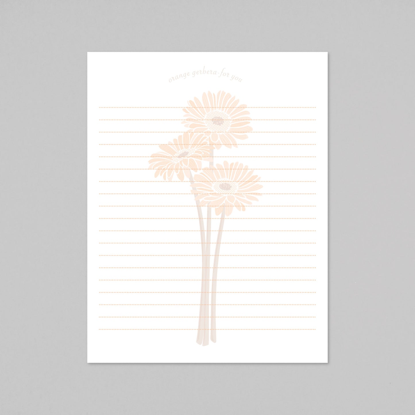 Hakuoshi Botanical レターセット 「ガーベラ」