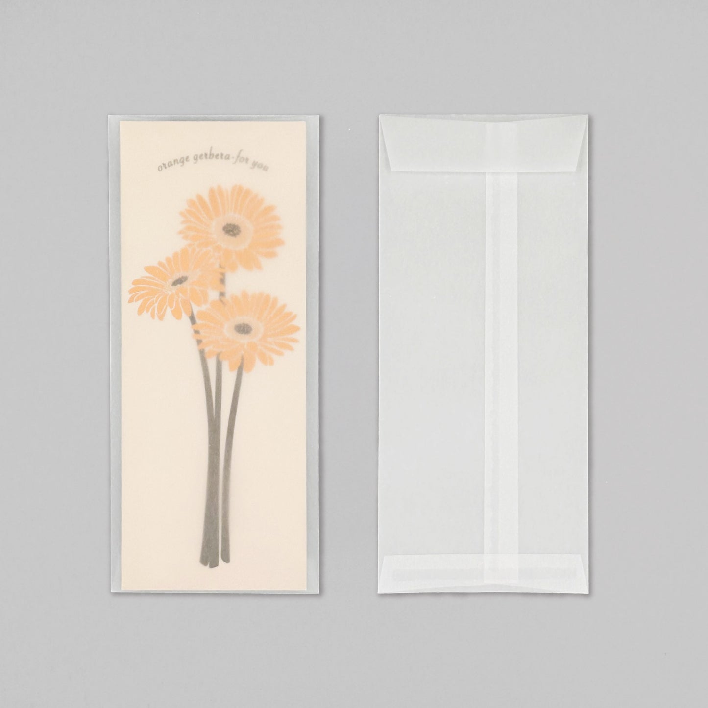 Hakuoshi Botanical レターセット 「ガーベラ」