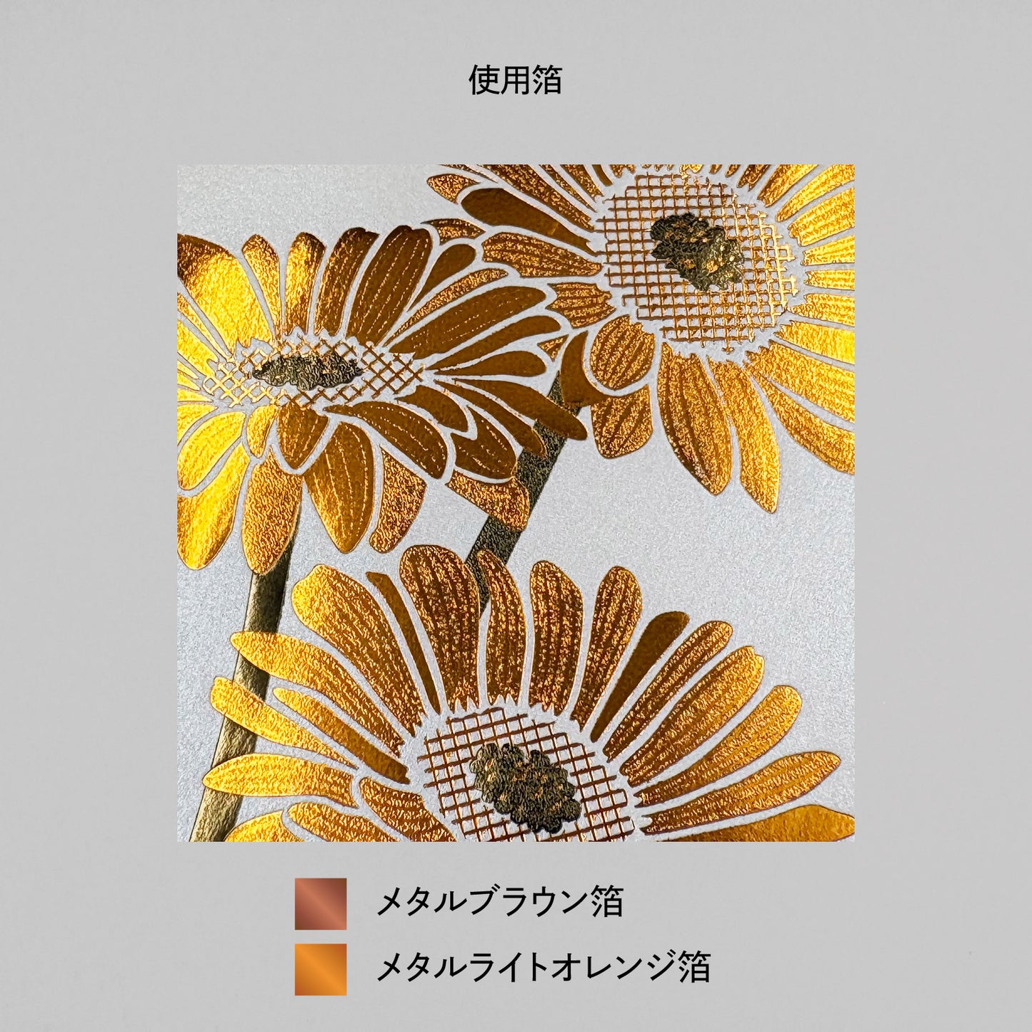Hakuoshi Botanical レターセット 「ガーベラ」