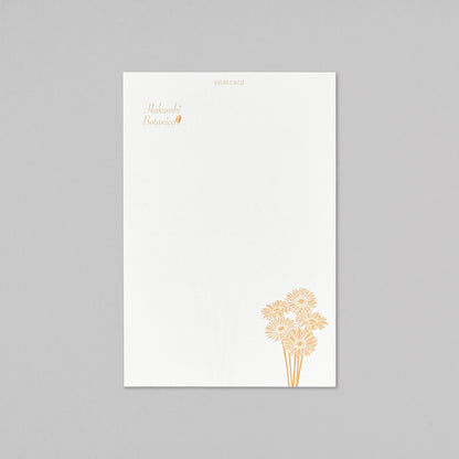 Hakuoshi Botanical ポストカード 「ガーベラ」