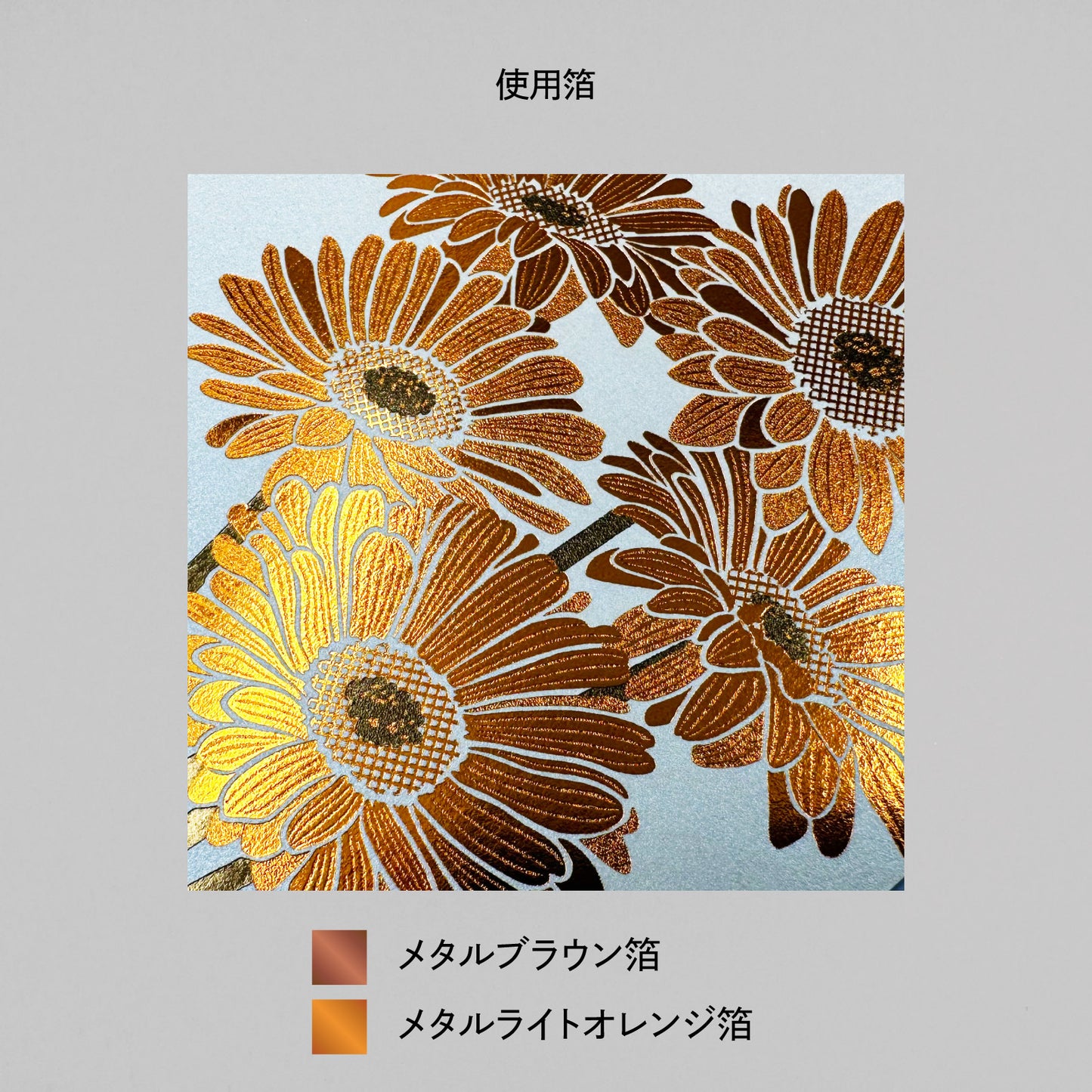 Hakuoshi Botanical ポストカード 「ガーベラ」