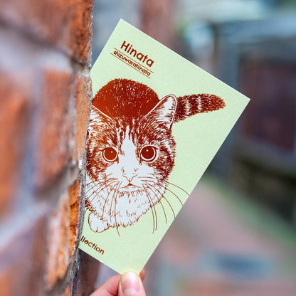 Cat Art Collection ポストカード「ひなた」