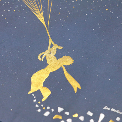 The Little Prince Book Cover "Migratory Bird"