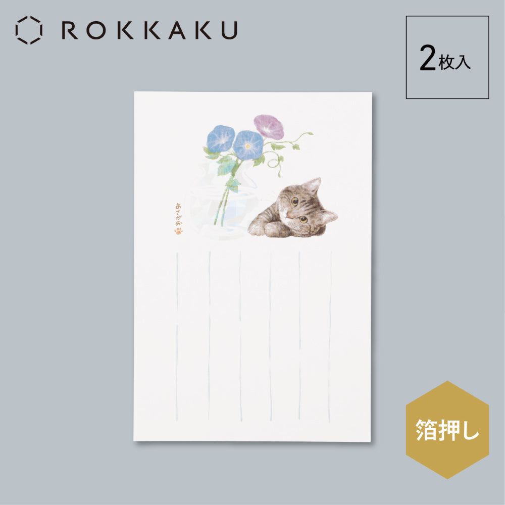 暑中はがき 猫のいる風景 「あさがお」