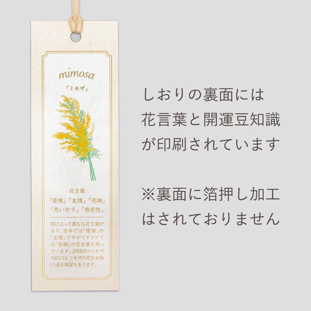 Hakuoshi Botanical しおり 「ミモザ」 – ROKKAKU