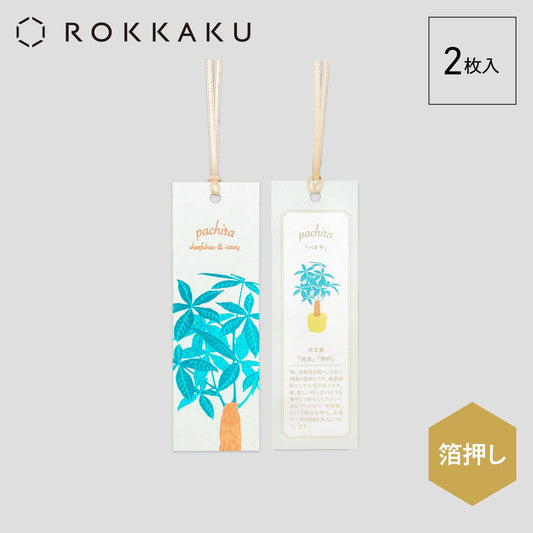 Hakuoshi Botanical しおり 「パキラ」