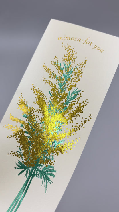 Hakuoshi Botanical レターセット 「ミモザ」