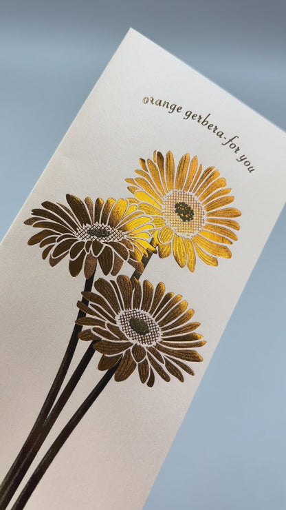 Hakuoshi Botanical レターセット 「ガーベラ」