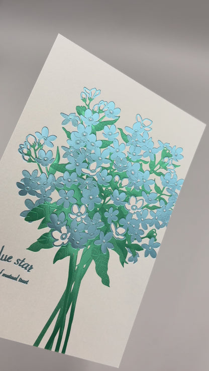 Hakuoshi Botanical ポストカード 「ブルースター」