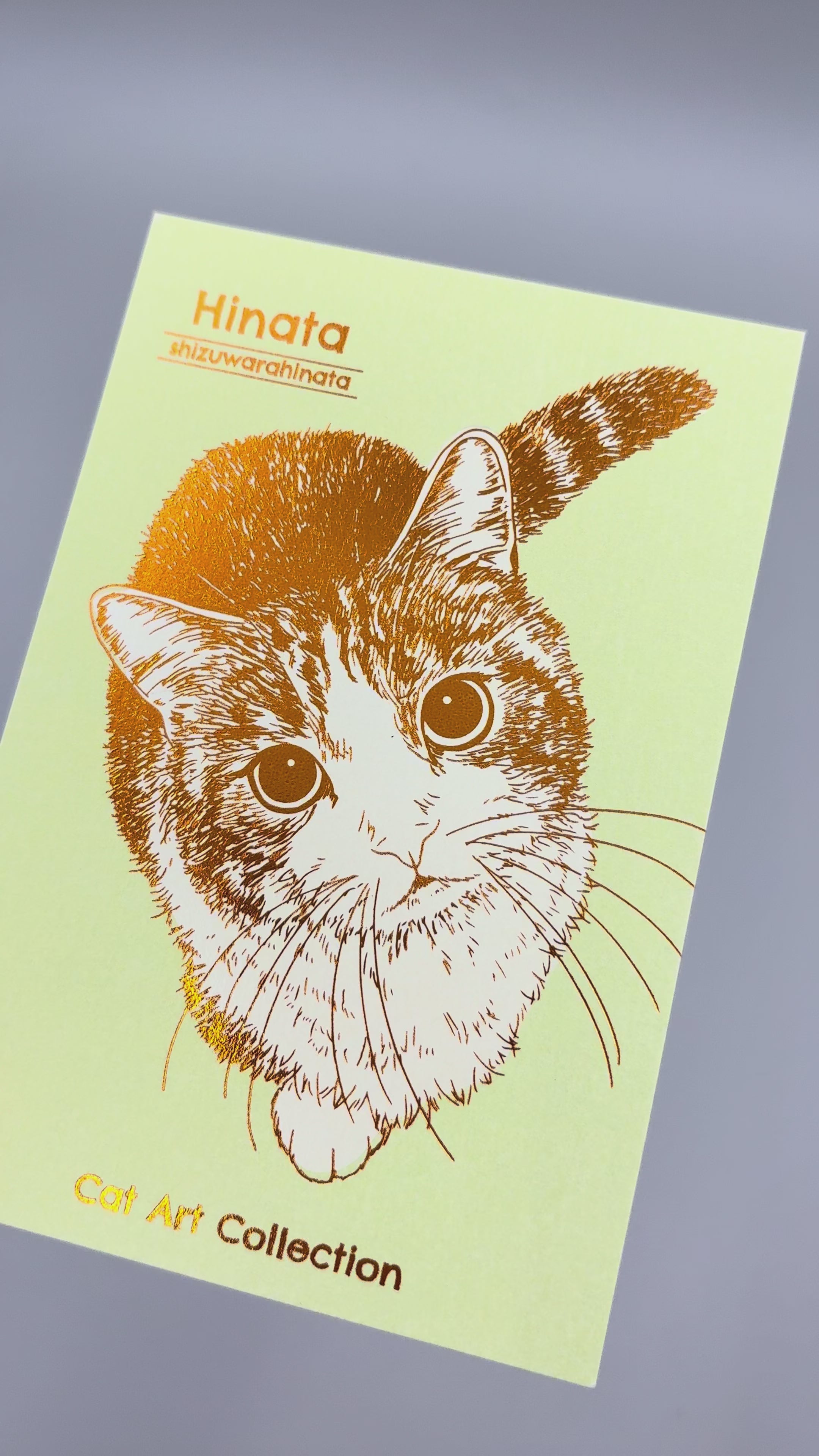 Cat Art Collection ポストカード「ひなた」 – ROKKAKU