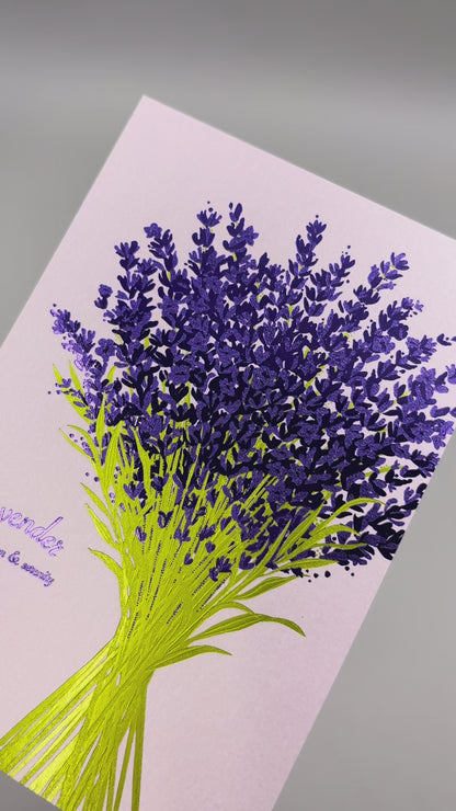 Hakuoshi Botanical ポストカード 「ラベンダー」