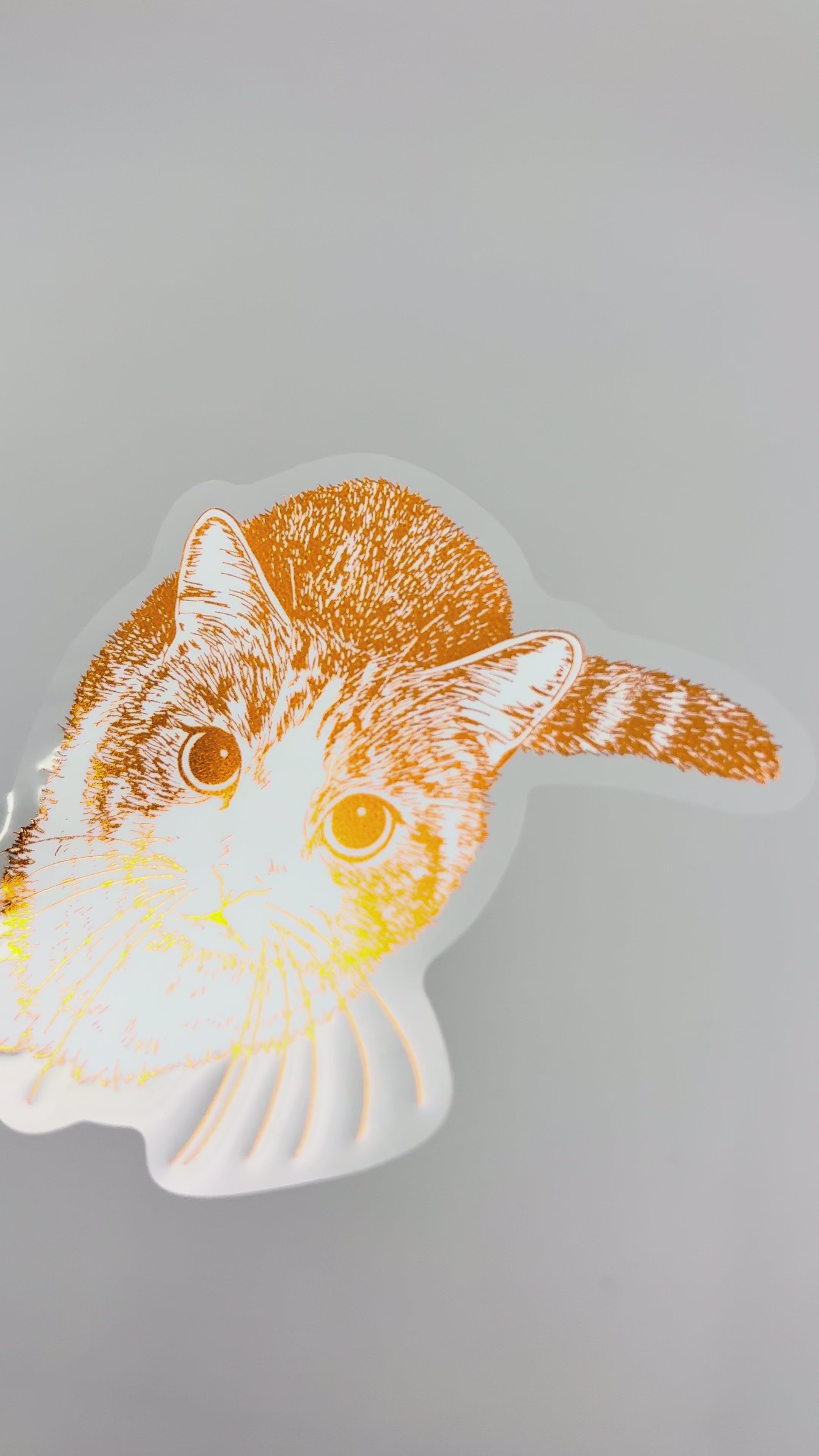 ROKKAKU×Cat Art Collection